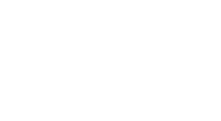 bingologga